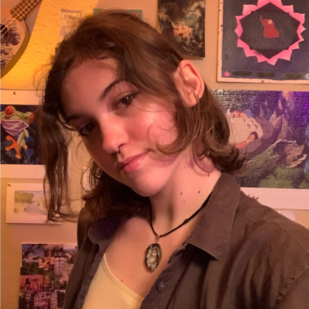 Meet your Posher, Destiny